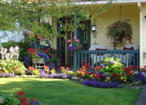 perennial-front-yard-garden